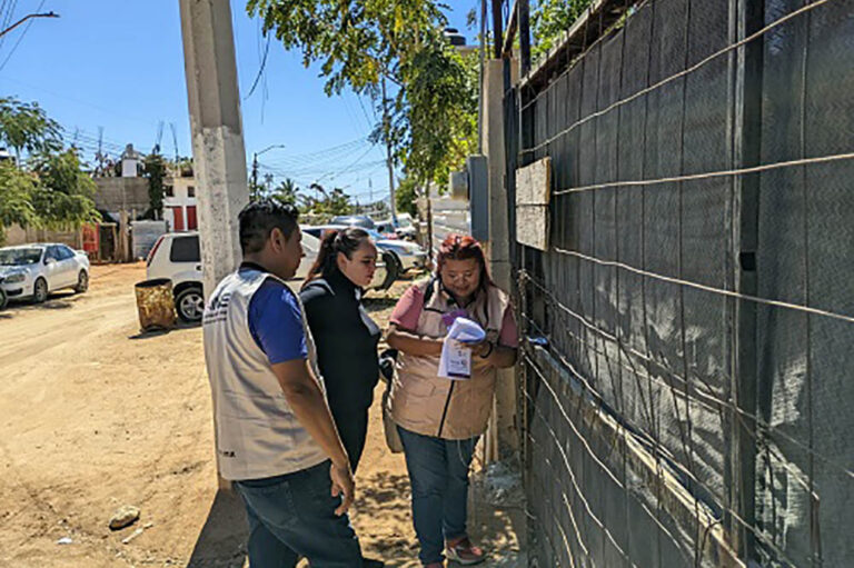 Perros, los agresores más frecuentes de capacitadores electorales