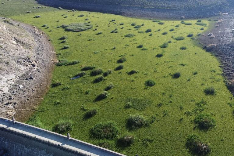 San Luis Potosí, “en terapia intensiva” por sequía