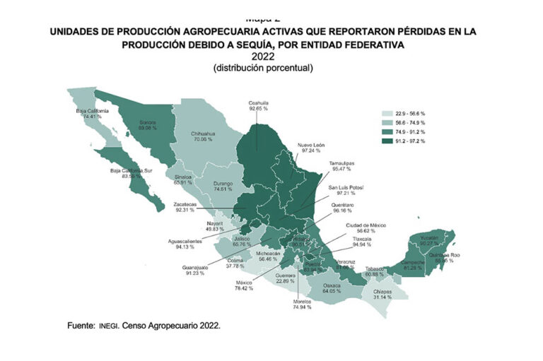 SLP, el segundo estado con más pérdidas agropecuarias por sequía: Inegi