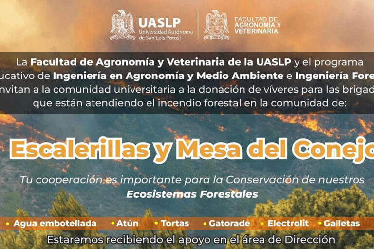 Se agrava incendio en Sierra San MIguelito
