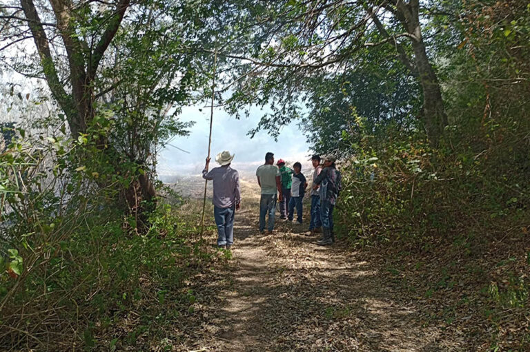 SLP, séptimo estado con más terreno afectado por incendios forestales: Conafor