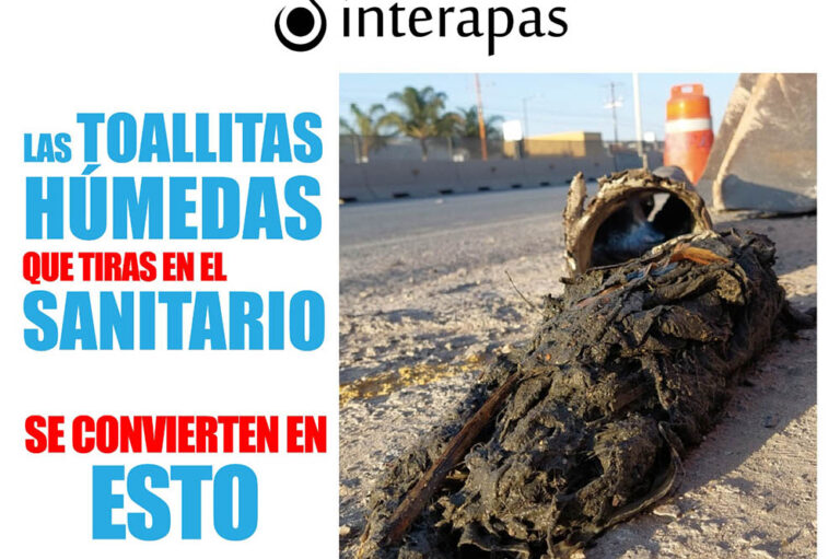 Tirar toallitas húmedas en el inodoro tapa, avería y colapsa el drenaje, advierte Interapas