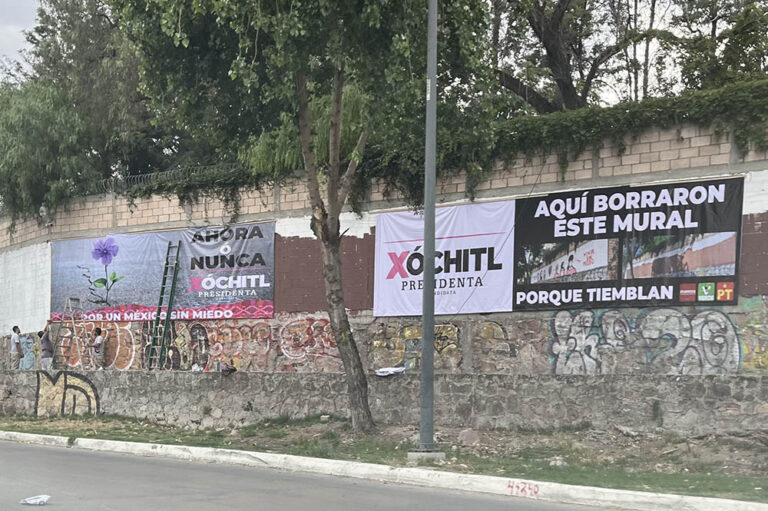 Con lonas, “Xochilovers” reemplazan murales borrados en la capital de SLP