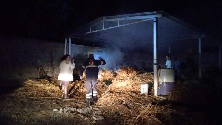 Pirotecnia causa incendio en avenida Fleming
