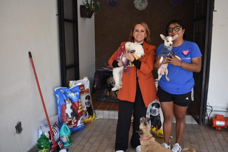 Donan croquetas y artículos de limpieza a refugios animales