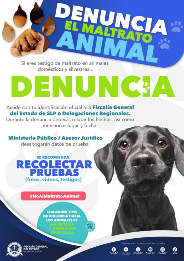 Investigó la FGE 82 casos de maltrato animal en SLP durante 2024