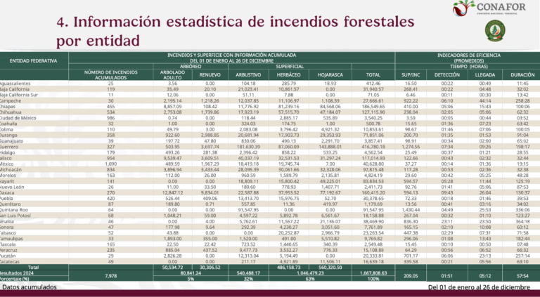 Durante 2024, incendios forestales en SLP quemaron 38 veces más hectáreas que en 2023