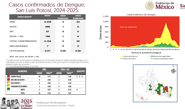SLP, en el “top 10” de los estados con más dengue