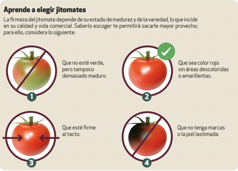 SLP, entre los principales productores de jitomate