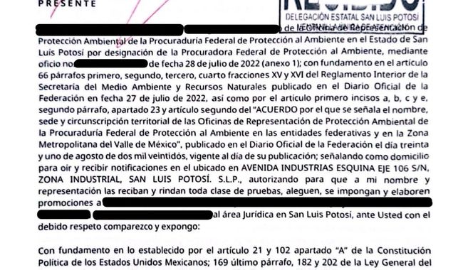 Formaliza Profepa denuncia por asesinato de jaguar en Valles