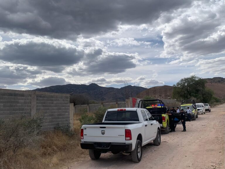 Encuentran cadáver semidevorado en La Pila