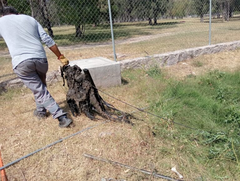 Tapón de toallas húmedas, toallas femeninas y hasta balones provocó derrame de aguas negras en el Tangamanga