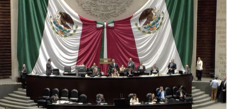 Todos los diputados federales potosinos votaron a favor de prohibir el nepotismo… a partir del 2030