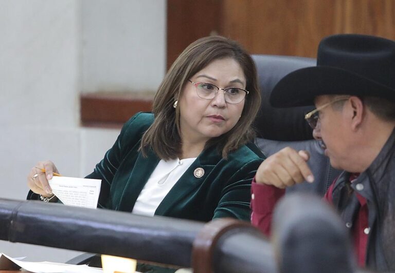 Presentará diputada iniciativa contra los “narco mensajes”