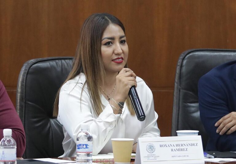 Propondrá diputada replicar en SLP la “Ley Valeria”