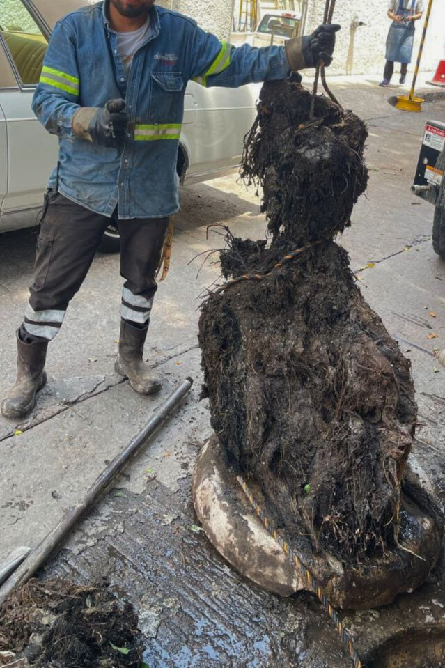 Tapón de raíces, cabellos y basura en drenaje de Salvador Nava provoca fuga de aguas negras