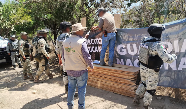 Detalla Profepa resultados de recorrido y decomisos en “El Potosí”