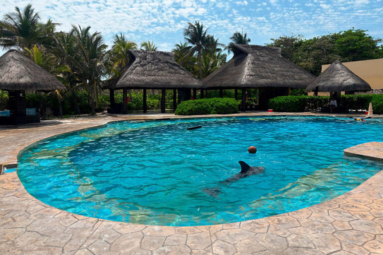 Clausuran de manera definitiva el Dolphinaris Barceló