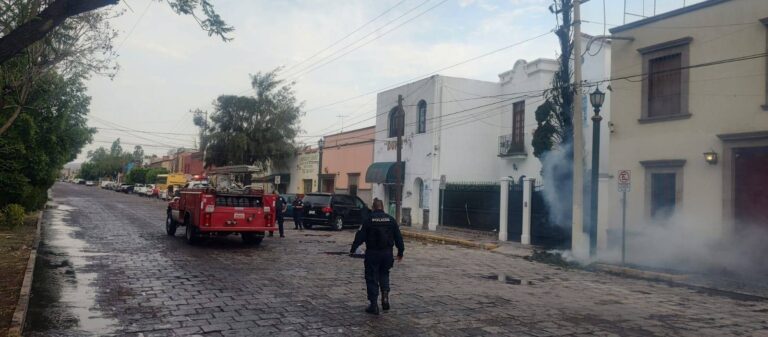 Dos árboles caídos y uno incendiado, saldo de aguacero en la capital potosina