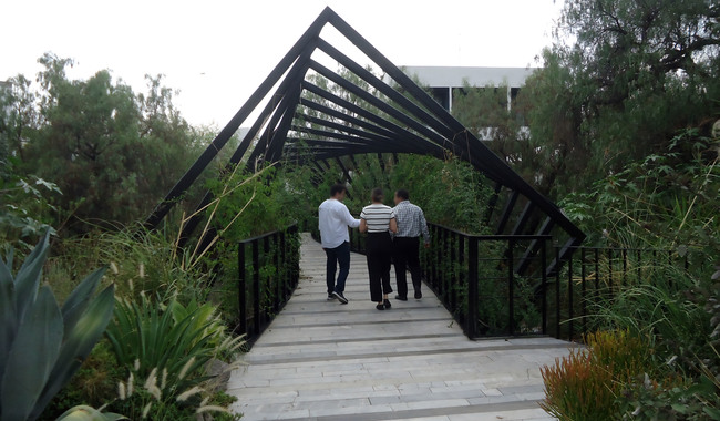 Clausura Profepa construcción de puente en hotel de San Miguel de Allende