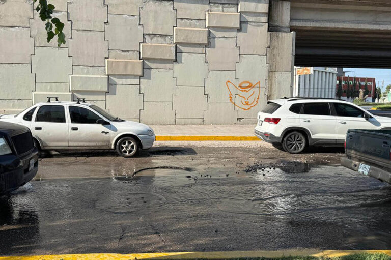 Excedentes del parque Tangamanga dejan intransitable tramo de Salvador Nava