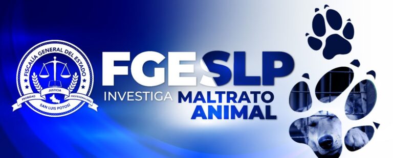 Investiga Fiscalía asesinato de perrita en Ciudad Valles