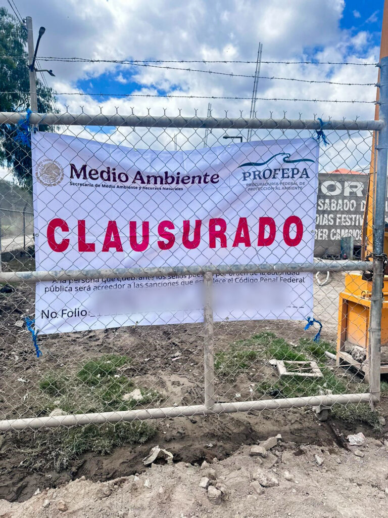 Bestiario – Verde mohoso