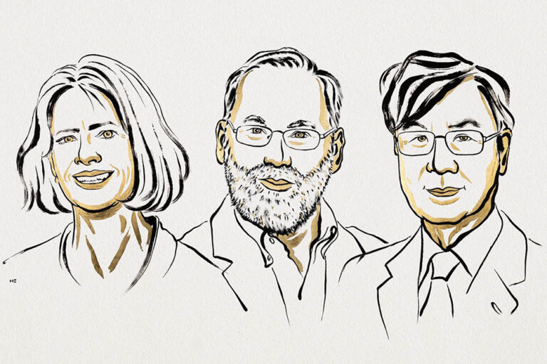 Nobel de Medicina a los descubridores de las células ‘guardianes’ del sistema inmune