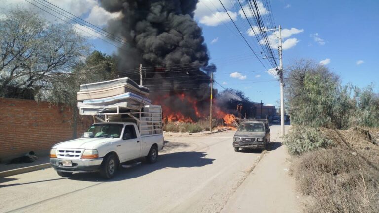 Incendio en ladrillera de la colonia Matamoritos deja viviendas, puercos y vehículos afectados