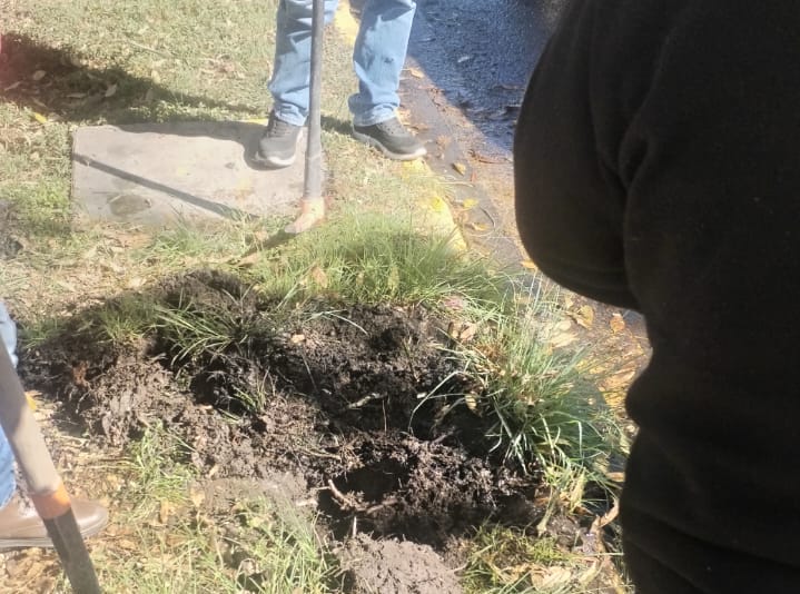 Hallan toma clandestina de agua en camellón de Mariano Jiménez