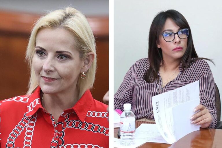 Plagia Aranzazu Puente iniciativa de diputada morenista