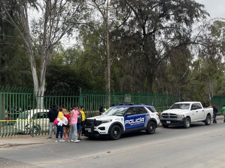 Muere joven tras derribar la reja del Tangamanga II y chocar contra un árbol
