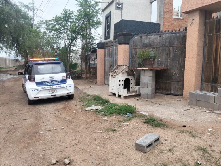 Presenta Alcaldía denuncia por maltrato animal en Milpillas