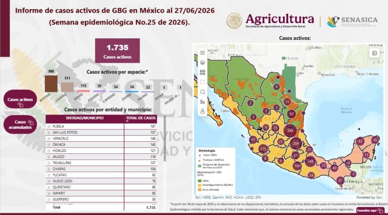 Sube SLP al segundo lugar entre los estados con más casos activos de gusano barrenador