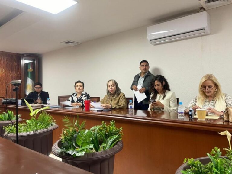 Advierte diputada que dictamen aprobado por el pleno fue distinto al votado en comisiones