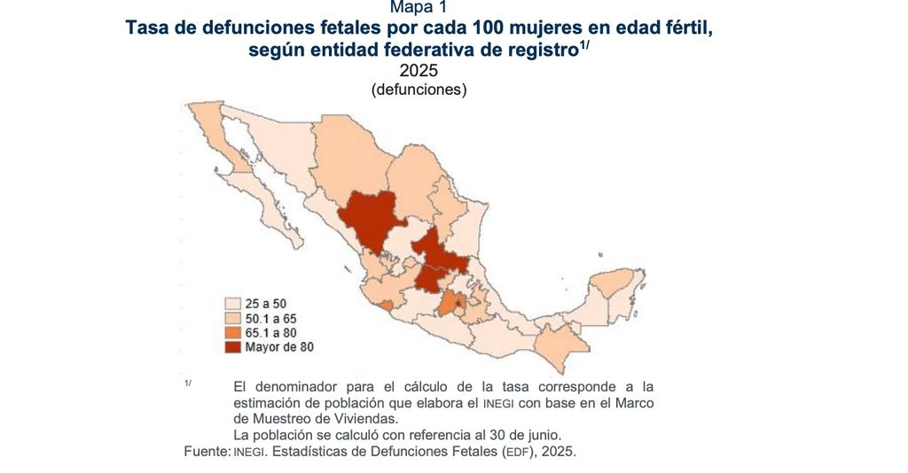 SLP, primer lugar nacional en muertes fetales: Inegi