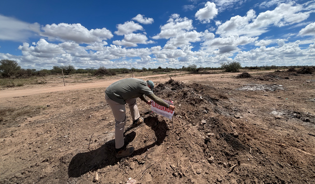 Frena Profepa remoción de vegetación forestal en 54.6 hectáreas de Villa de Ramos